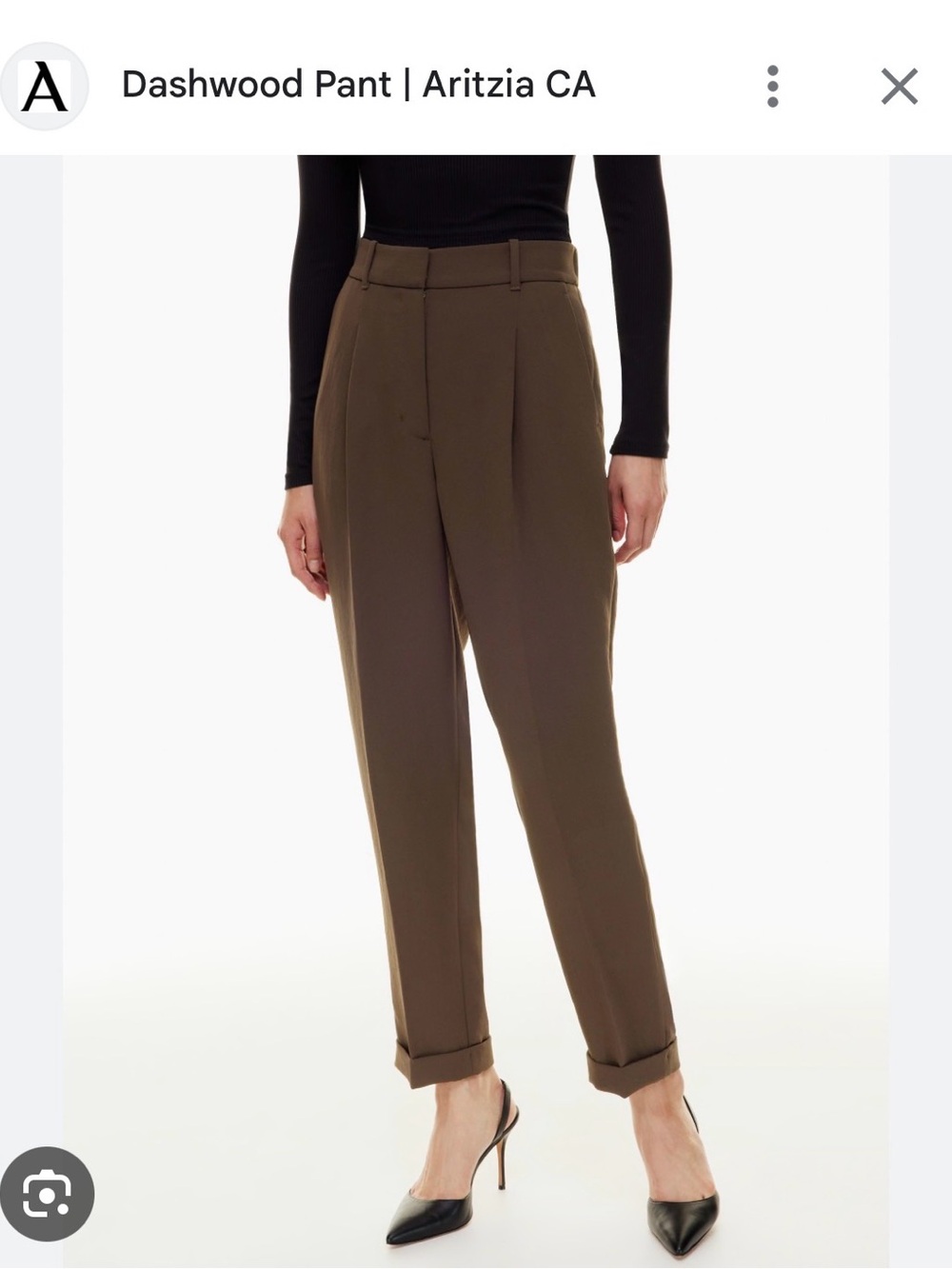 Aritzia Dashwood High-Rise Pleated Pants — rich mocha Brown